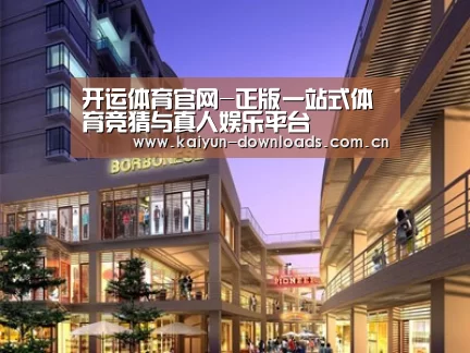 案例展示一